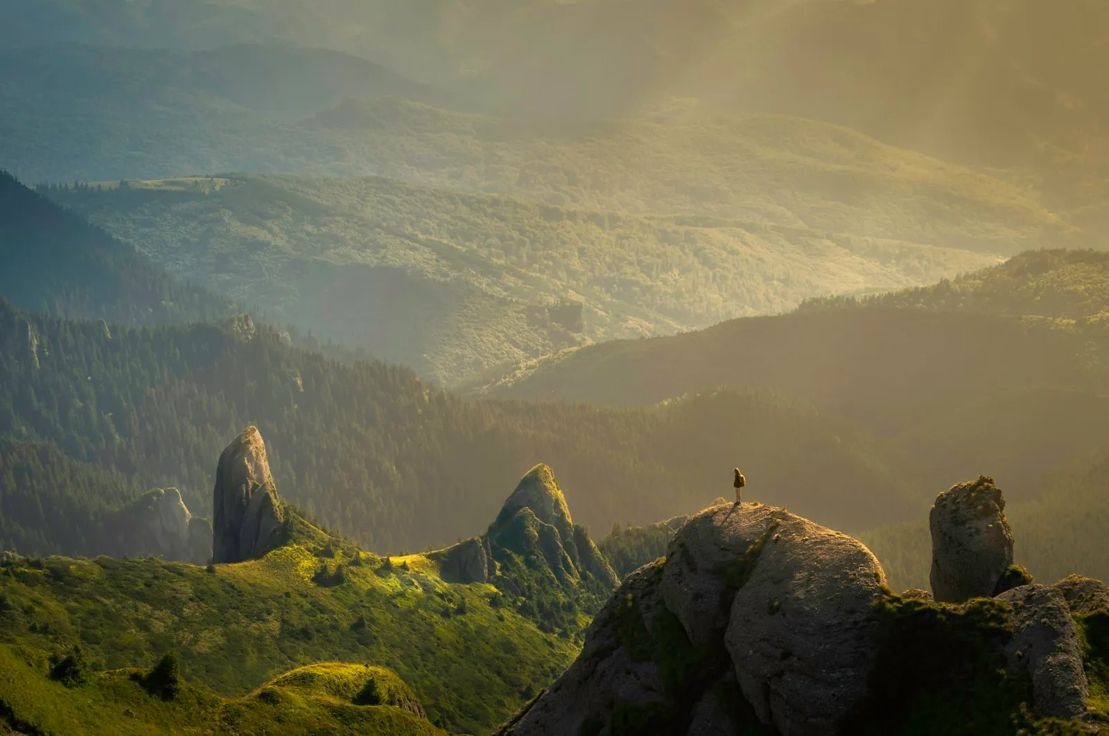 Himalayan foothills near Rishikesh at sunrise
