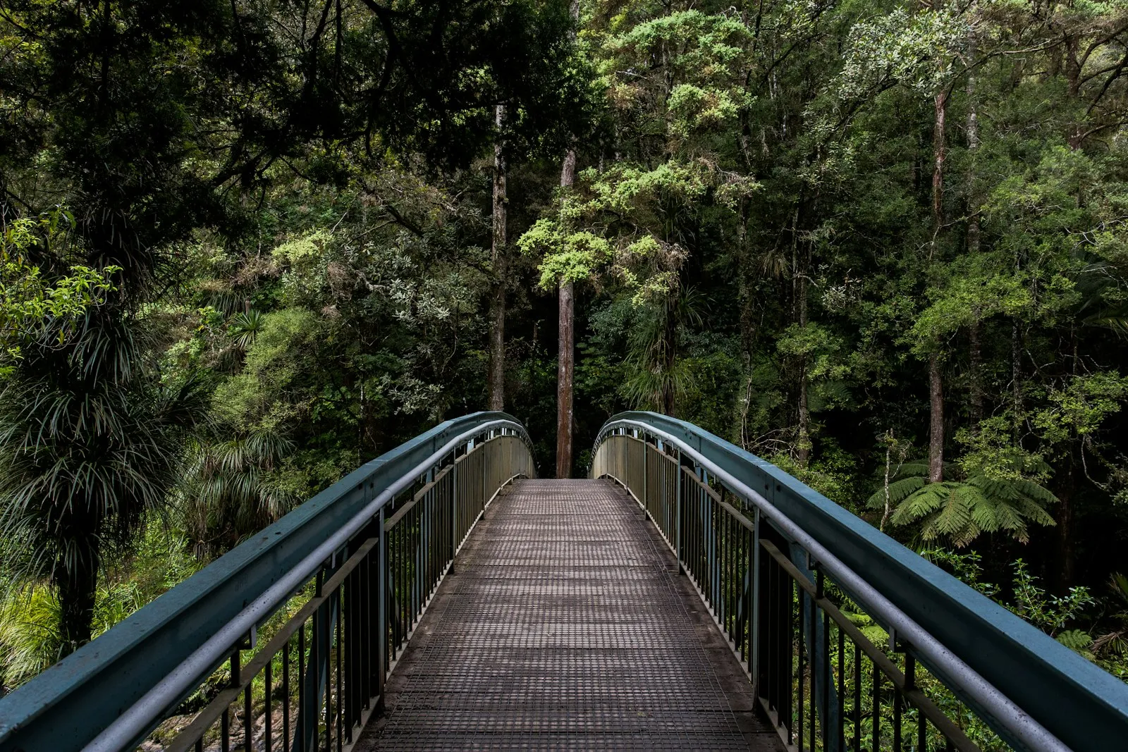 Footbridge through a forested hillside